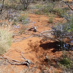 Unverified at suppressed - suppressed