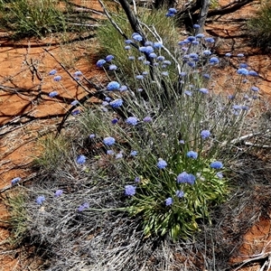 Unverified at suppressed - suppressed