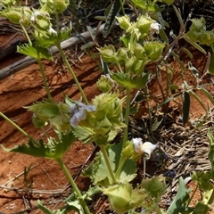 Unidentified at suppressed - 14 Sep 2024