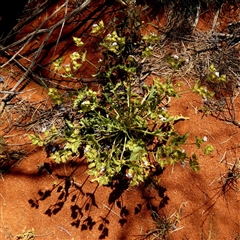 Unverified at suppressed - suppressed