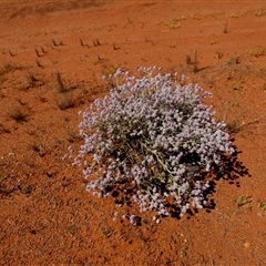 Unverified at suppressed - suppressed