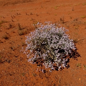 Unverified at suppressed - suppressed