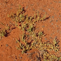 Unverified at suppressed - suppressed