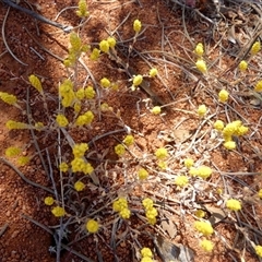 Unverified at suppressed - suppressed