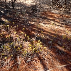 Unverified at suppressed - suppressed