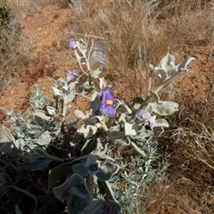 Unverified at suppressed - suppressed