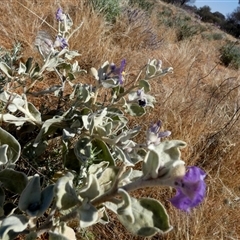 Unverified at suppressed - suppressed