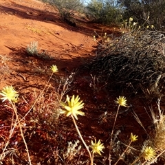 Unidentified at suppressed - 14 Sep 2024