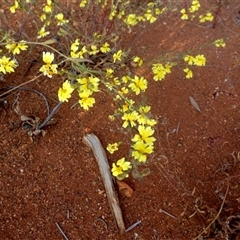 Unverified at suppressed - suppressed