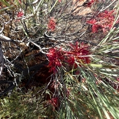 Unverified at suppressed - suppressed