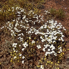 Unverified at suppressed - suppressed