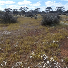 Unverified at suppressed - suppressed