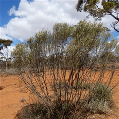 Unverified at suppressed - suppressed