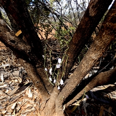 Unverified at suppressed - suppressed