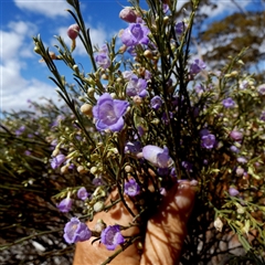 Unidentified at suppressed - 15 Sep 2024