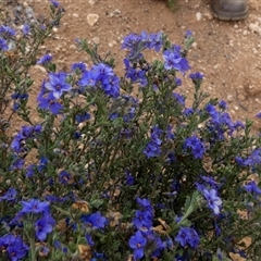 Unverified at suppressed - suppressed