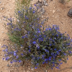 Unverified at suppressed - suppressed