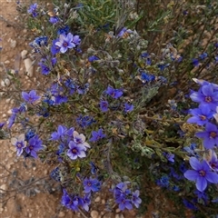 Unverified at suppressed - suppressed