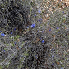 Unverified at suppressed - suppressed