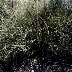 Unverified at suppressed - suppressed