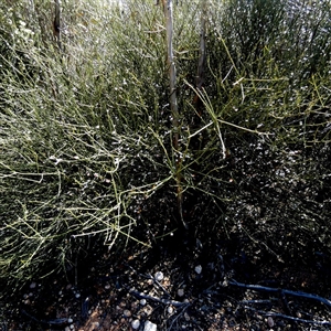 Unverified at suppressed - suppressed