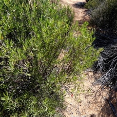 Unverified at suppressed - suppressed