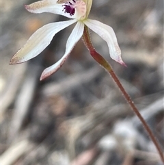 Unverified at suppressed - suppressed