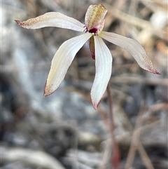 Unverified at suppressed - suppressed