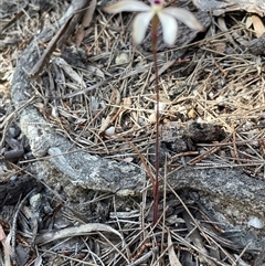 Unverified at suppressed - suppressed