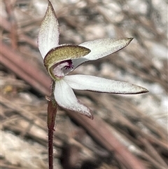 Unverified at suppressed - suppressed