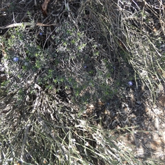 Unverified at suppressed - suppressed