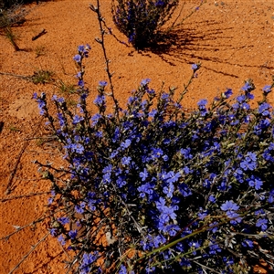 Unverified at suppressed - suppressed