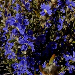 Unverified at suppressed - suppressed