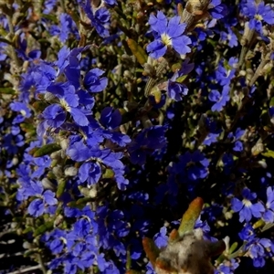 Unverified at suppressed - suppressed