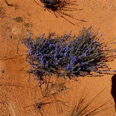 Unverified at suppressed - suppressed