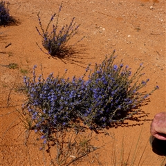 Unverified at suppressed - suppressed