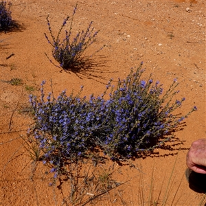 Unverified at suppressed - suppressed