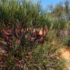 Unverified at suppressed - suppressed