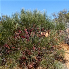 Unverified at suppressed - suppressed