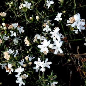 Unverified at suppressed - suppressed