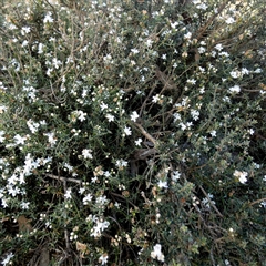 Unverified at suppressed - suppressed