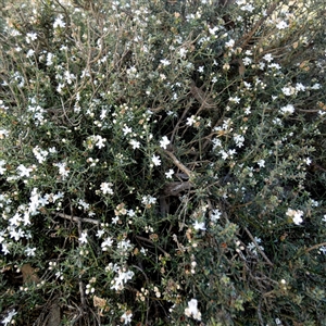 Unverified at suppressed - suppressed