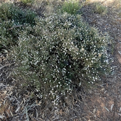 Unverified at suppressed - suppressed