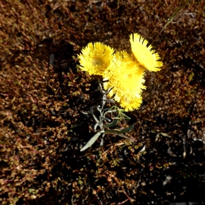 Unverified at suppressed - suppressed