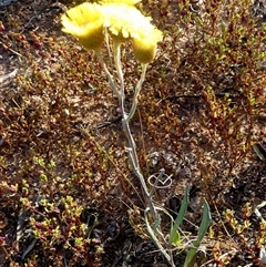 Unverified at suppressed - suppressed