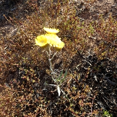 Unverified at suppressed - suppressed