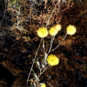 Unverified at suppressed - suppressed