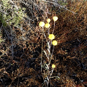 Unverified at suppressed - suppressed