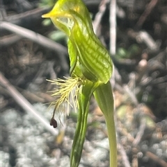 Unverified at suppressed - suppressed