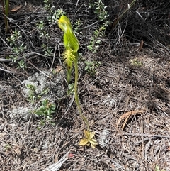 Unverified at suppressed - suppressed